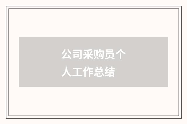 公司采购员个人工作总结