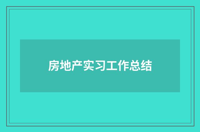 房地产实习工作总结