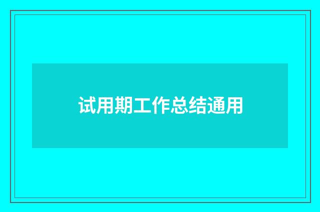 试用期工作总结通用