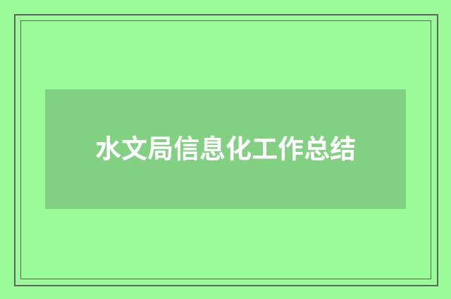 水文局信息化工作总结