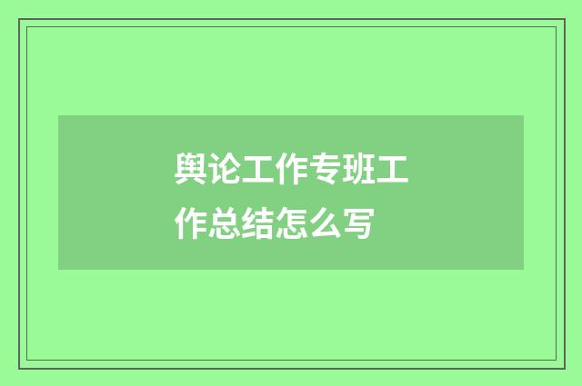 舆论工作专班工作总结怎么写