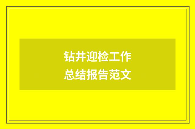 钻井迎检工作总结报告范文