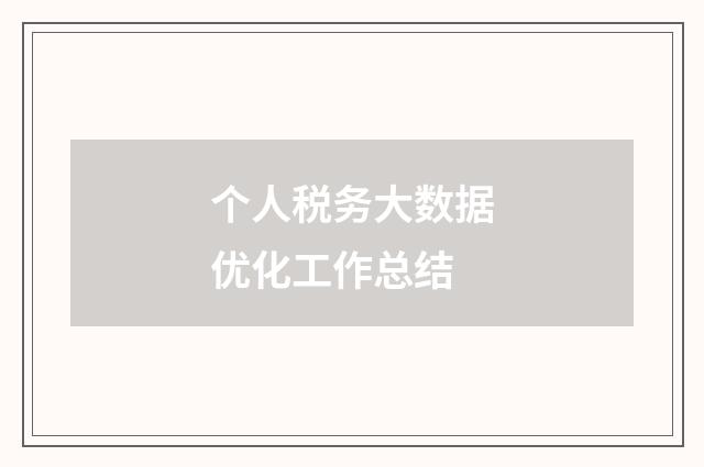 个人税务大数据优化工作总结