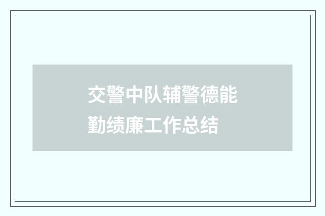 交警中队辅警德能勤绩廉工作总结