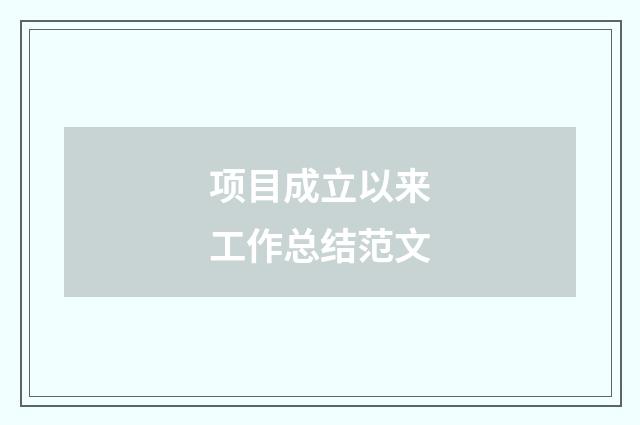 项目成立以来工作总结范文