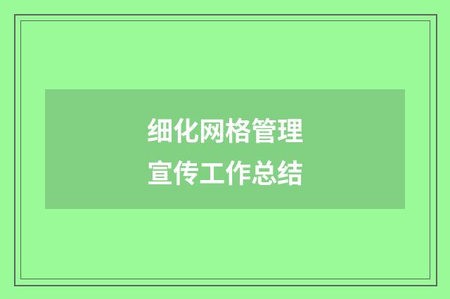 细化网格管理宣传工作总结