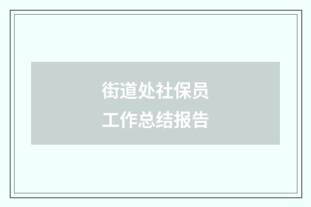 街道处社保员工作总结报告