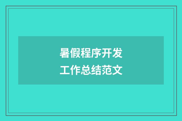 暑假程序开发工作总结范文