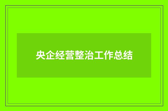 央企经营整治工作总结