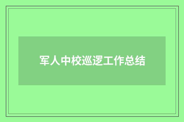 军人中校巡逻工作总结