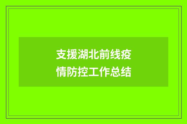 支援湖北前线疫情防控工作总结