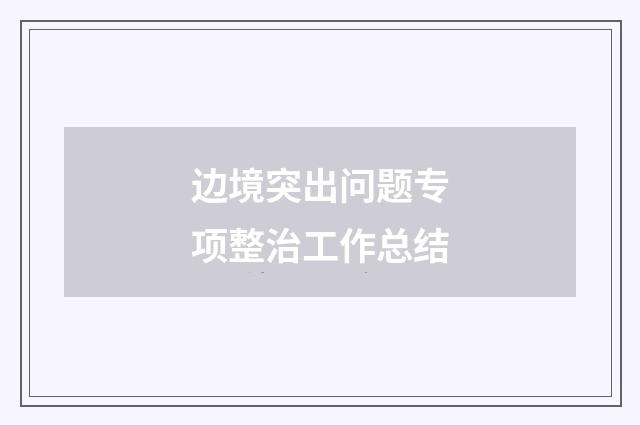 边境突出问题专项整治工作总结