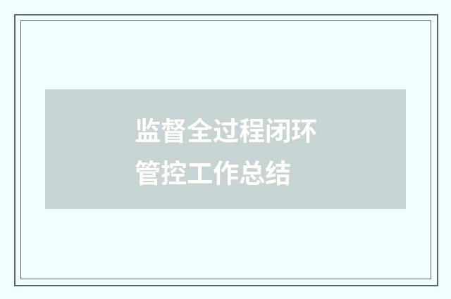 监督全过程闭环管控工作总结