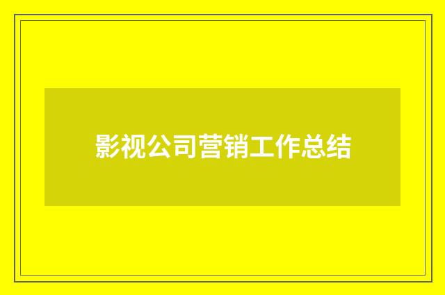 影视公司营销工作总结