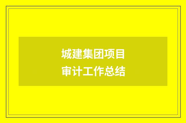 城建集团项目审计工作总结
