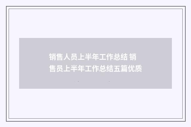 销售人员上半年工作总结 销售员上半年工作总结五篇优质