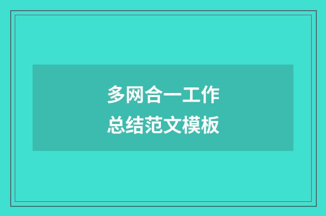 多网合一工作总结范文模板
