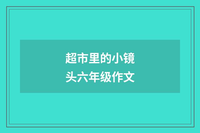 超市里的小镜头六年级作文