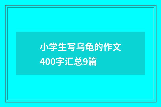 小学生写乌龟的作文400字汇总9篇