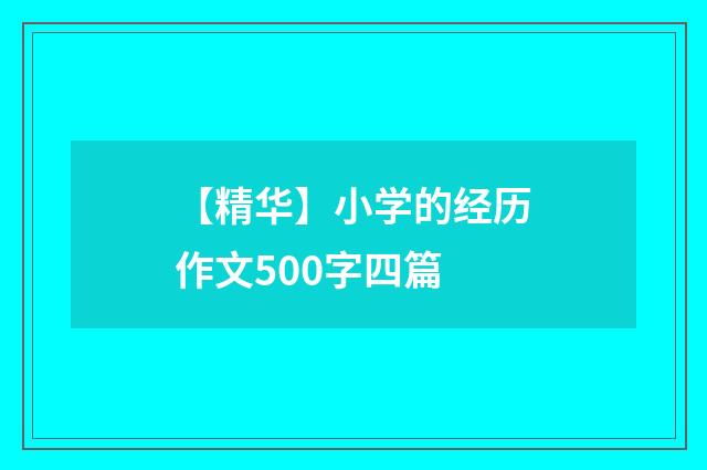 【精华】小学的经历作文500字四篇