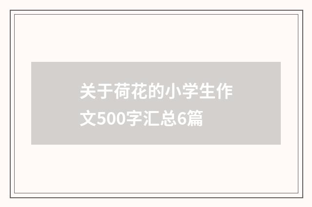关于荷花的小学生作文500字汇总6篇