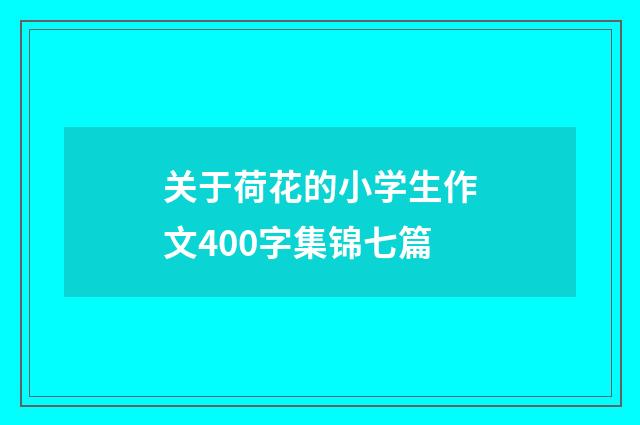 关于荷花的小学生作文400字集锦七篇