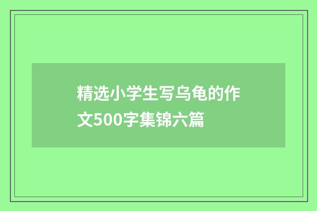精选小学生写乌龟的作文500字集锦六篇