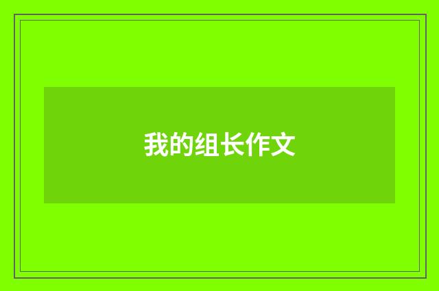 我的组长作文