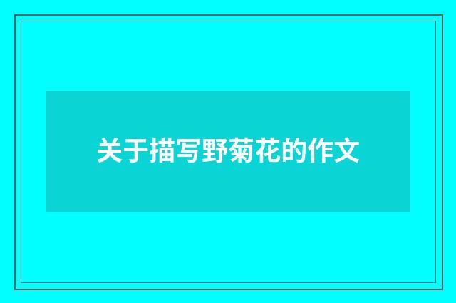 关于描写野菊花的作文