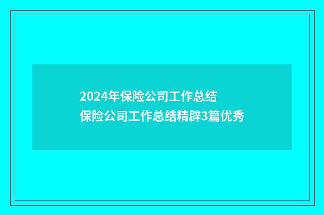 2024年保险公司工作总结 保险公司工作总结精辟3篇优秀