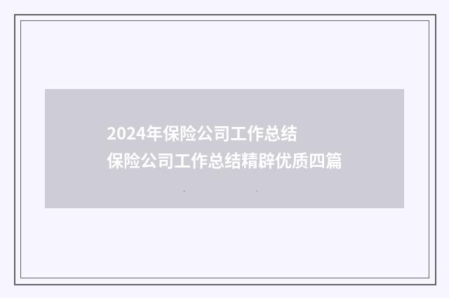 2024年保险公司工作总结 保险公司工作总结精辟优质四篇