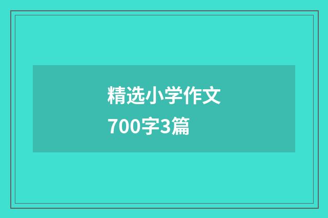 精选小学作文700字3篇