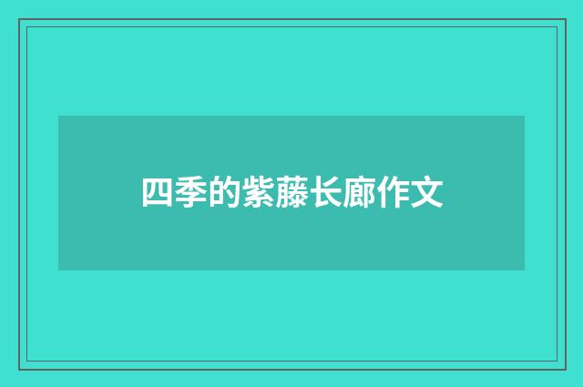 四季的紫藤长廊作文