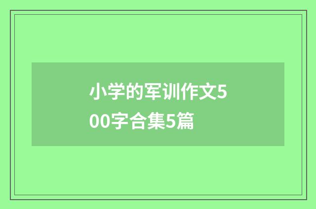 小学的军训作文500字合集5篇