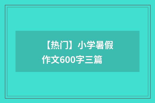 【热门】小学暑假作文600字三篇