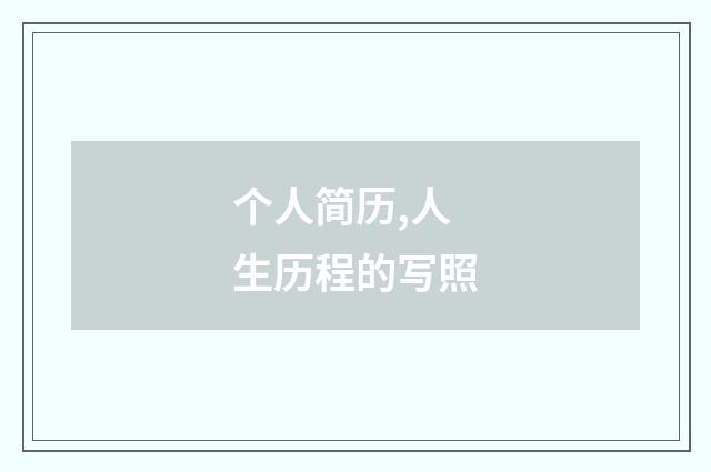 个人简历,人生历程的写照
