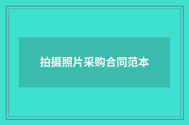 拍摄照片采购合同范本