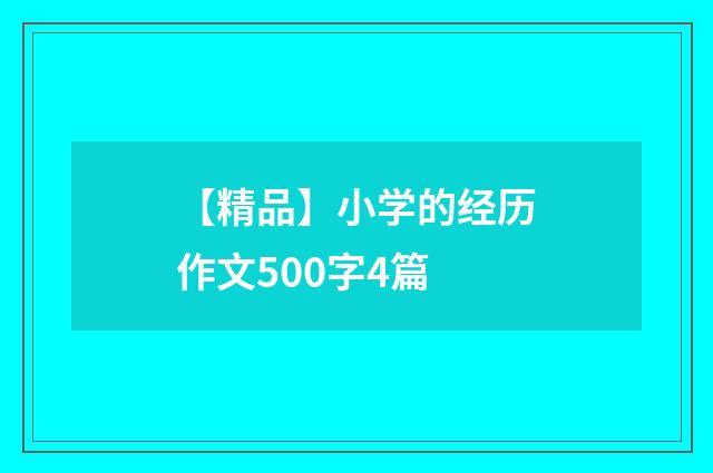 【精品】小学的经历作文500字4篇