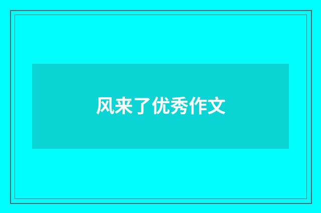 风来了优秀作文