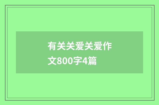 有关关爱关爱作文800字4篇