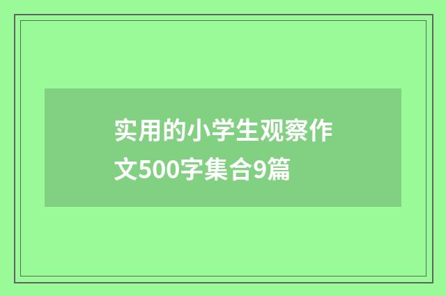 实用的小学生观察作文500字集合9篇
