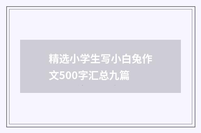 精选小学生写小白兔作文500字汇总九篇