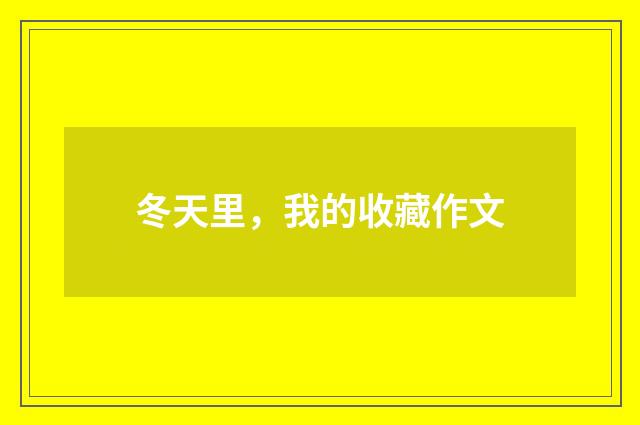 冬天里，我的收藏作文