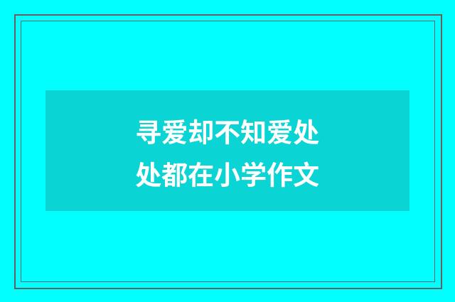 寻爱却不知爱处处都在小学作文