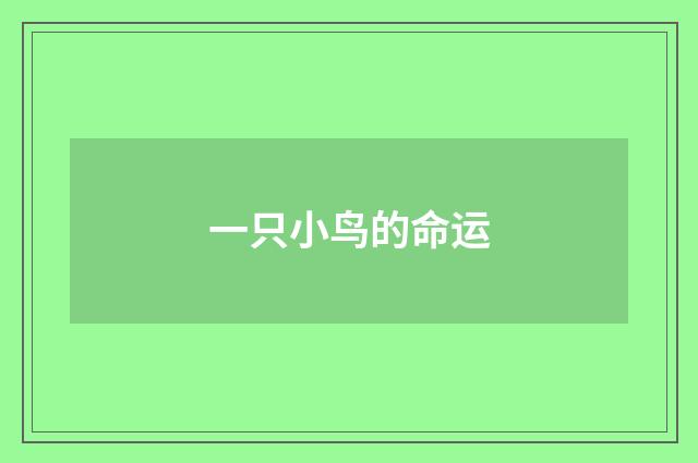 一只小鸟的命运