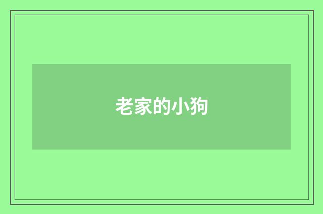 老家的小狗