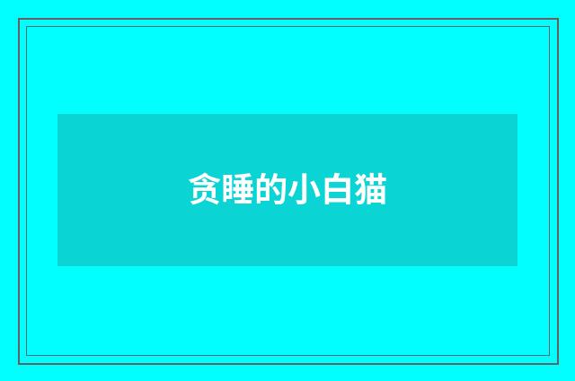 贪睡的小白猫