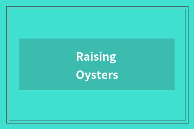 Raising Oysters