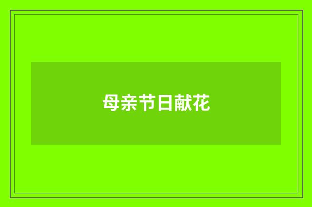 母亲节日献花