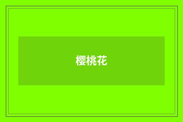 樱桃花